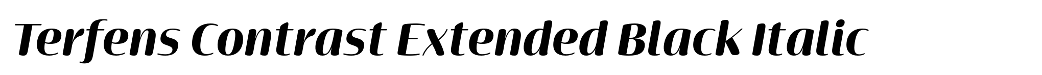 Terfens Contrast Extended Black Italic image